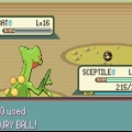Kry crobat in pokémon emerald