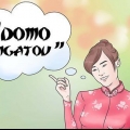 Sê dankie in japannees