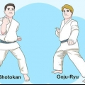 Verstaan ​​die basiese beginsels van karate