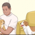 Die eetlust van honde vergroot