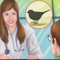 Die vleugels van 'n klein vogel knippen