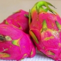 Eet draakvrug (pitaya)
