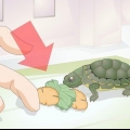 'N babyschildpad voer