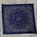 Bind 'n bandana