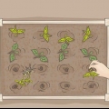 Begin 'n organiese tuin
