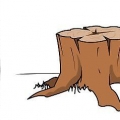 Maak 'n boomstomp dood
