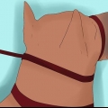 Een dobermannpincher trainen