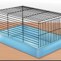 Een hamster temmen