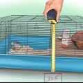 Een hamsterkooi inrichten