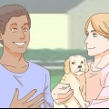 Een hond aaien