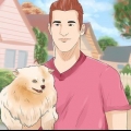 Een hond 'n nuwe naam gee