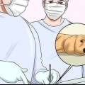 Een hond laten stoppen met bijten