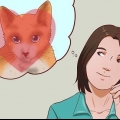 Een kat as huisdier neem