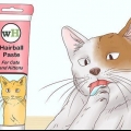 Een kat help 'n haarbal op te hoesten