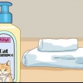 Een kat in slegte doen met minimale skade