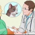 Een kat medicijnen toedienen