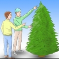 Een kerstboom verzorgen