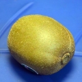 Maak 'n kiwi ryp