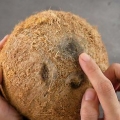 Een kokosnoot uithollen