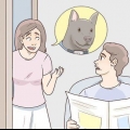 Een kwytgeraakte hond terugvinden