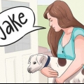 Een naam verzinnen vir jou hondjie van hond