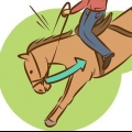 Een paard laten stoppen met bokken