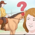 Een paard trainen