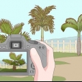 Verwyder 'n palmboom