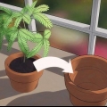 Verplant 'n plant