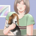 Een pup kies uit 'n nes