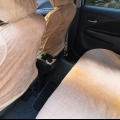 Een skimmelgeur uit je auto kry