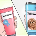Een shih tzu hondjie wassen