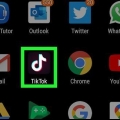 Skep 'n skyfievertoning op tiktok