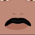 Snoei 'n snor
