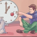 Een tweede kat in huis neem en die ou kat nie van streek maak nie