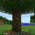Hoe om 'n bord in minecraft te skep