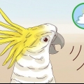 Een vogel in die huis is stil laat