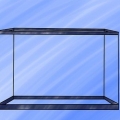 Een zoetwateraquarium installeer