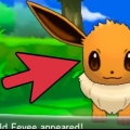 Eevee eevee in espeon of umbreon