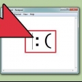 Gebruik emoticons