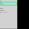 Skep fakture in word