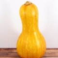 Flespompoen pasop