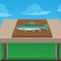 Forel te filet