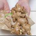 Maak gemmer knoffelpasta