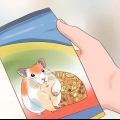 Hamsters voer