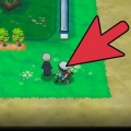 Oefen jou pokémon se ev