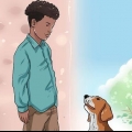 Het vertroue van 'n hond wen
