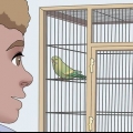 Het vertrou van jou vogel te wen