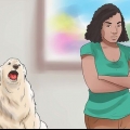 Honden laten stoppen met janken