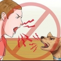 Honden trainen om nie te blaffen nie